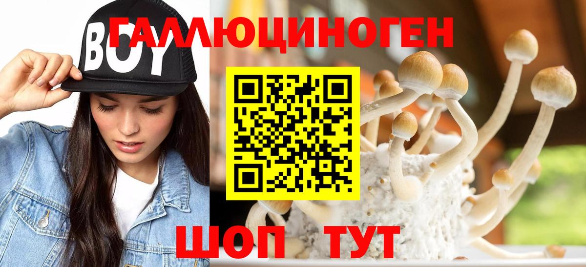 Галлюциногенные грибы GOLDEN TEACHER Новошахтинск